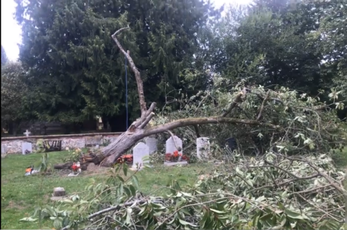 Storm damage